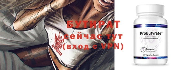 тгк Дмитриев