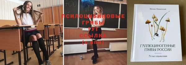 тгк Дмитриев