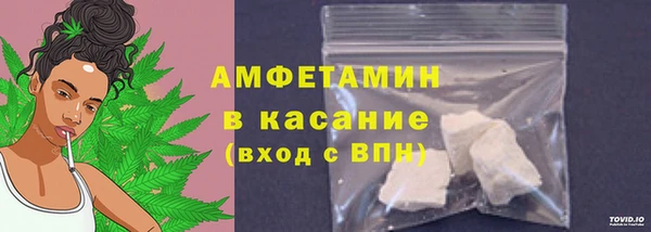 тгк Дмитриев