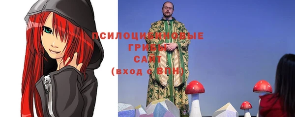 тгк Дмитриев
