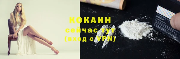 тгк Дмитриев