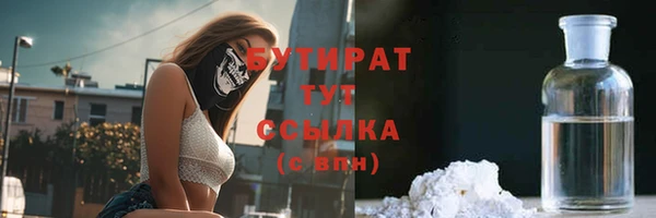 тгк Дмитриев