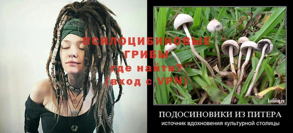 бутик Дмитровск