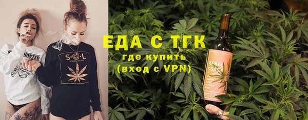тгк Дмитриев