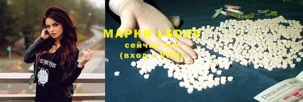 тгк Дмитриев