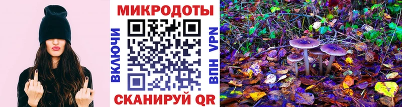 Купить  Кувшиново  Галлюциногенные грибы мухоморы 